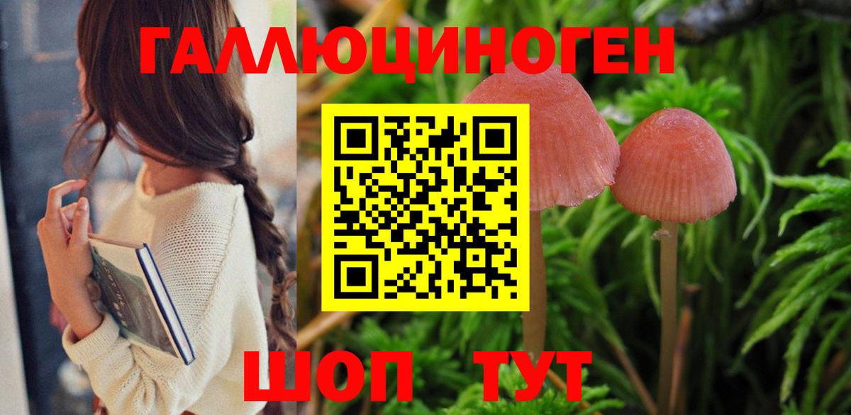 Псилоцибиновые грибы Psilocybe Дмитров